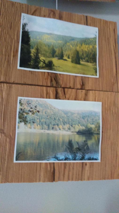 Spa Et Sauna Xonrupt-Longemer Zewnętrze zdjęcie